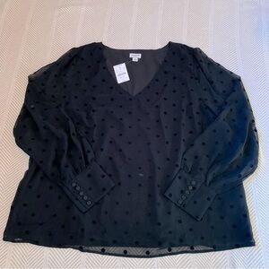 J. Crew Factory Flocked Dot v-neck blouse-XL